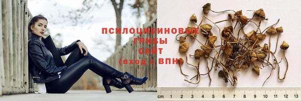 мяу мяу мука Беломорск