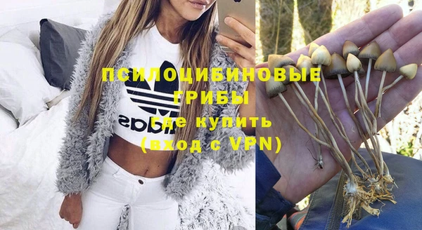 амф Белоозёрский