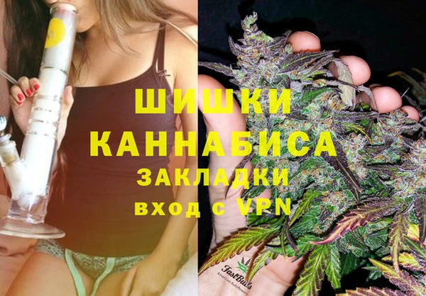 apvp Белокуриха