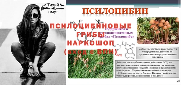 амф Белоозёрский