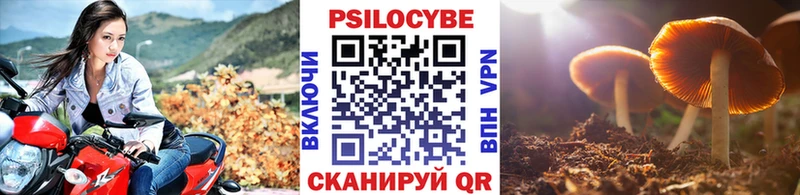 купить наркоту  Кстово  Псилоцибиновые грибы мицелий 