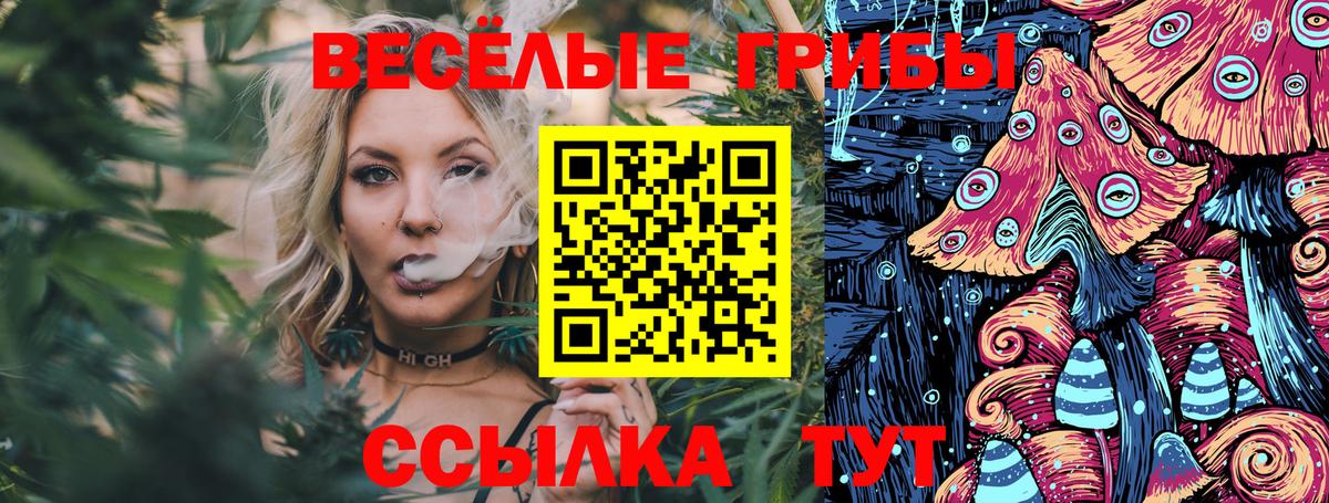Псилоцибиновые грибы GOLDEN TEACHER Кстово