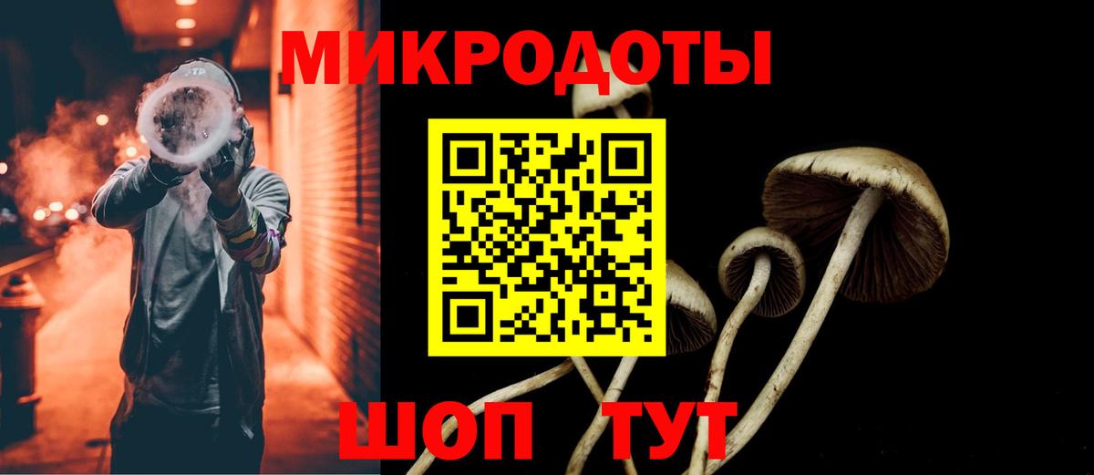 Галлюциногенные грибы Psilocybe  Галлюциногенные грибы мухоморы  Кстово  Вход с VPN 
