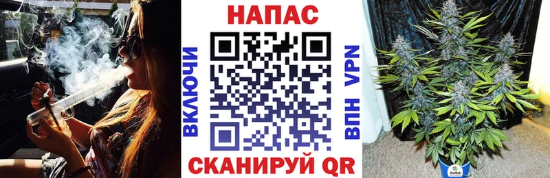 цены наркотик  Кстово  Конопля гибрид 